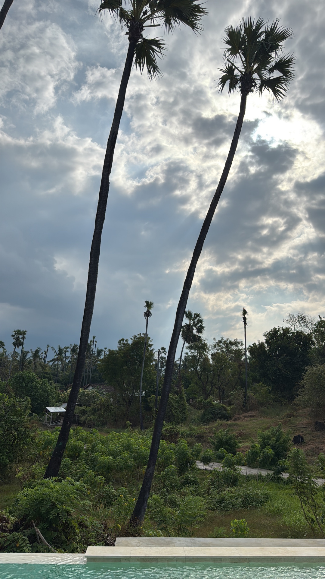 ab81bc42-d245-4323-a794-673df8fdda6d.jpg